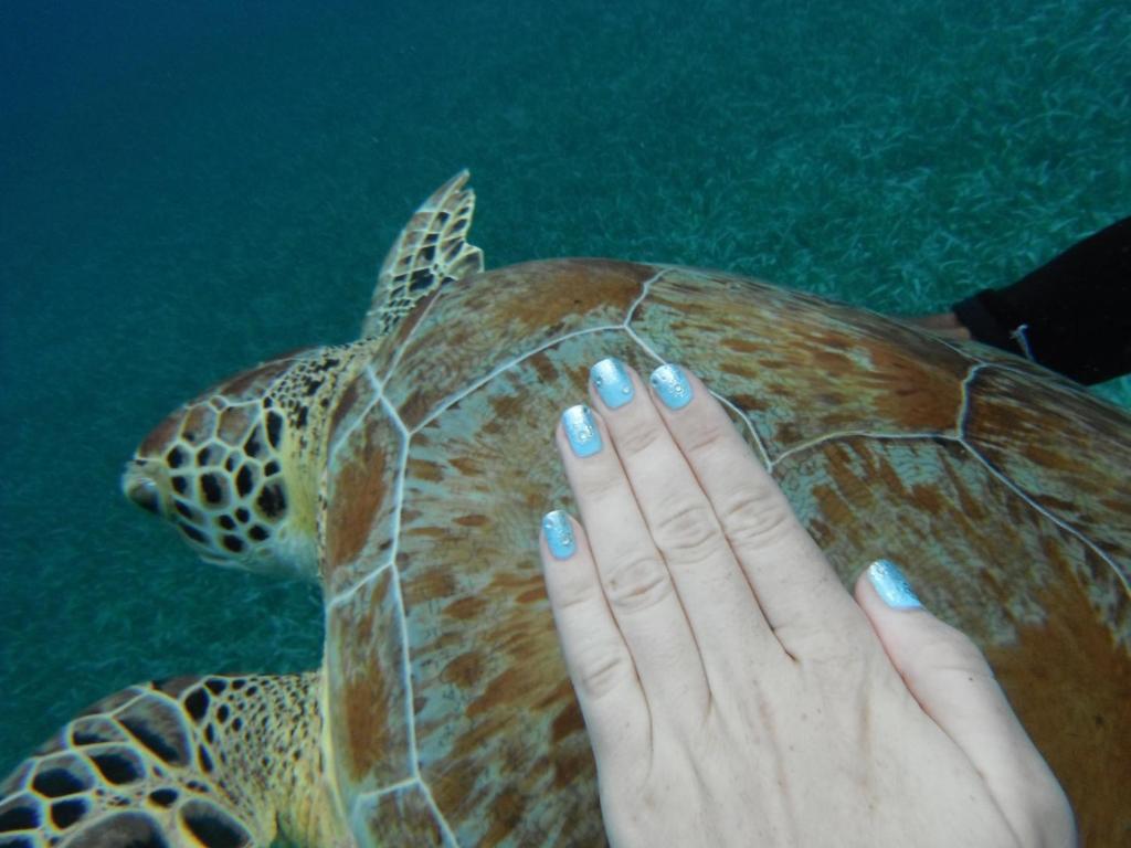 Shaka Caye All Inclusive Resort 伯利兹城 外观 照片